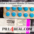 What Is Leopard Miracle Of Honey Used For new07